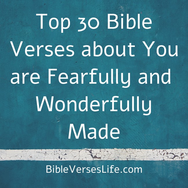 Top 30 Bible Verses about You are Fearfully and Wonderfully Made