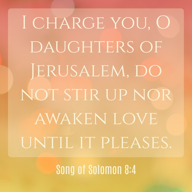 I charge you, O daughters of Jerusalem, do not stir up nor awaken love until it pleases. - Song of Solomon 8:4