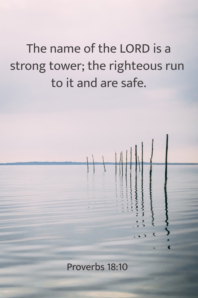 The name of the LORD is a strong tower; the righteous run to it and are safe. - Proverbs 18:10