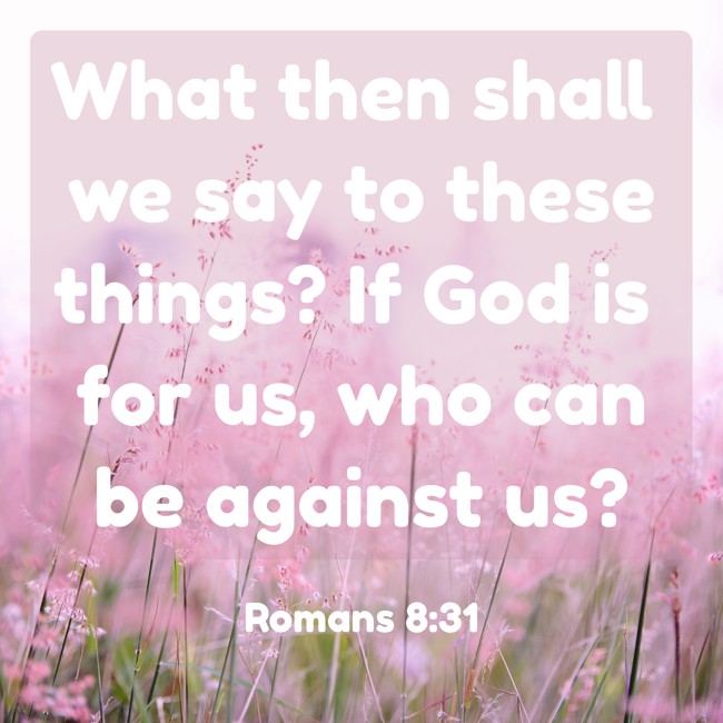 What then shall we say to these things? If God is for us, who can be against us?   - Romans 8:31
