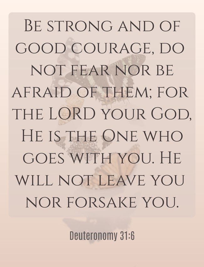 Be strong and of good courage, do not fear nor be afraid of them; for the LORD your God, He is the One who goes with you. He will not leave you nor forsake you. - Deuteronomy 31:6