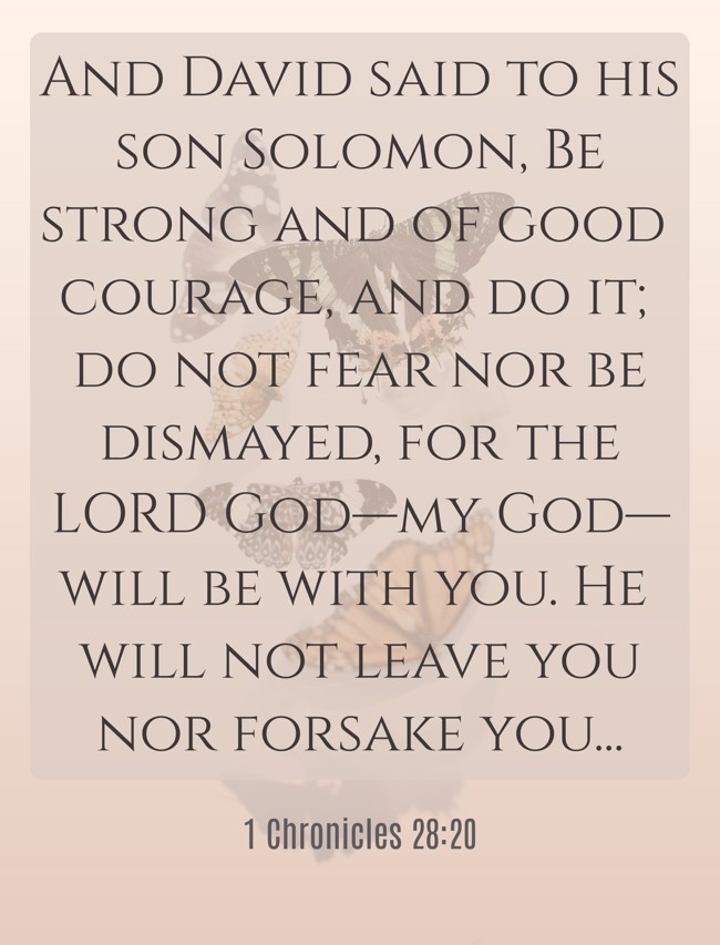 And David said to his son Solomon, Be strong and of good courage, and do it; do not fear nor be dismayed, for the LORD God—my God—will be with you. He will not leave you nor forsake you... - 1 Chronicles 28:20