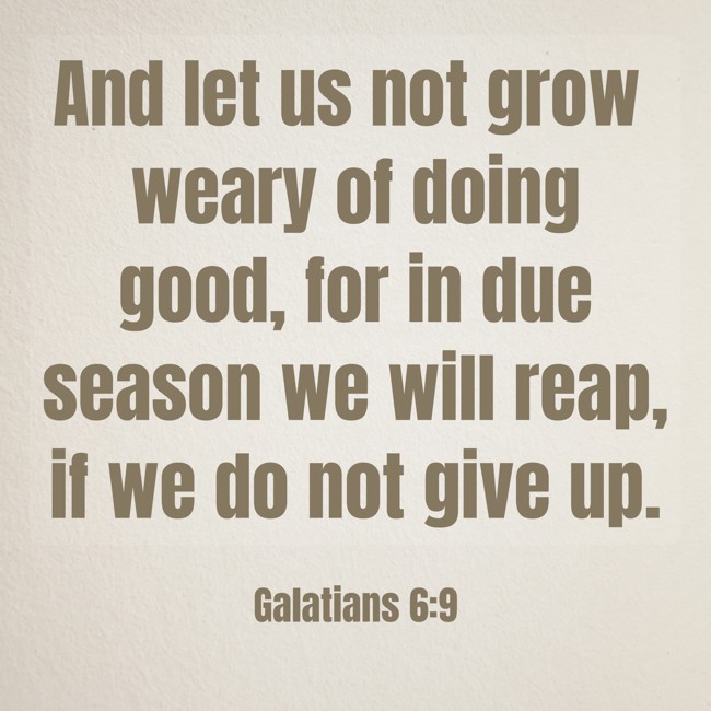 And let us not grow weary of doing good, for in due season we will reap, if we do not give up.   - Galatians 6:9