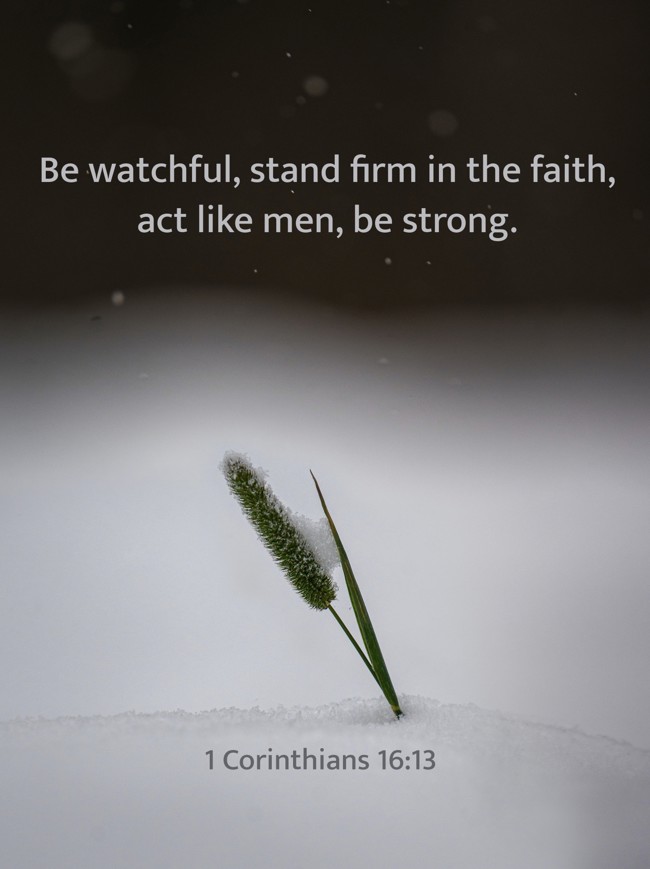 Be watchful, stand firm in the faith, act like men, be strong.   - 1 Corinthians 16:13