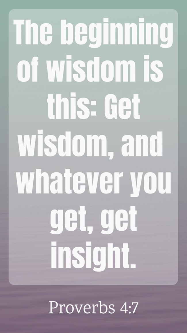 The beginning of wisdom is this: Get wisdom, and whatever you get, get insight.   - Proverbs 4:7