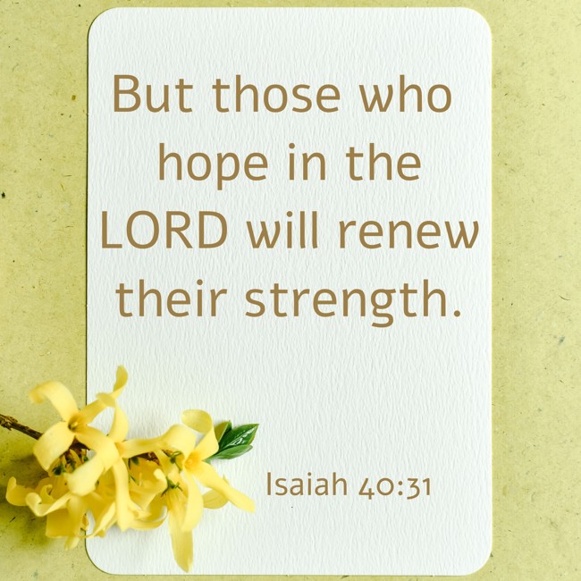 But those who hope in the LORD will renew their strength. - Isaiah 40:31