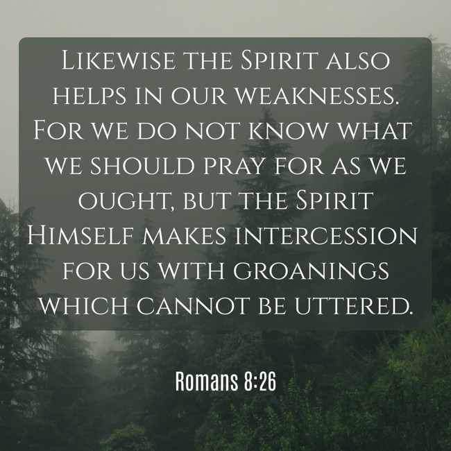 Likewise the Spirit also helps in our weaknesses. For we do not know what we should pray for as we ought, but the Spirit Himself makes intercession for us with groanings which cannot be uttered. - Romans 8:26