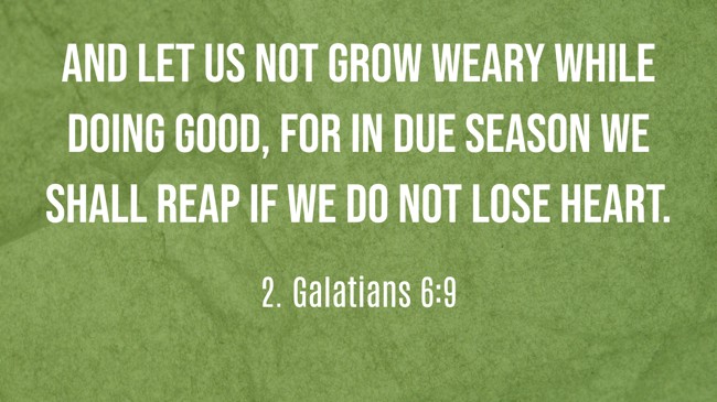 And let us not grow weary while doing good, for in due season we shall reap if we do not lose heart. - 2. Galatians 6:9