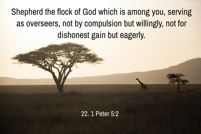 Shepherd the flock of God which is among you, serving as overseers, not by compulsion but willingly, not for dishonest gain but eagerly. - 22. 1 Peter 5:2