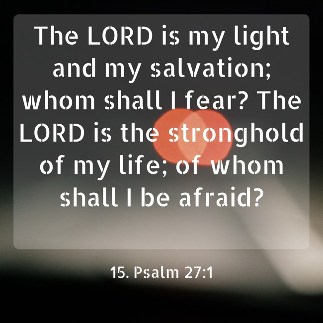  The LORD is my light and my salvation; whom shall I fear? The LORD is the stronghold of my life; of whom shall I be afraid?   - 15. Psalm 27:1 