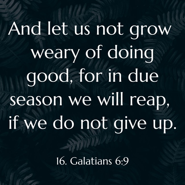  And let us not grow weary of doing good, for in due season we will reap, if we do not give up.   - 16. Galatians 6:9 