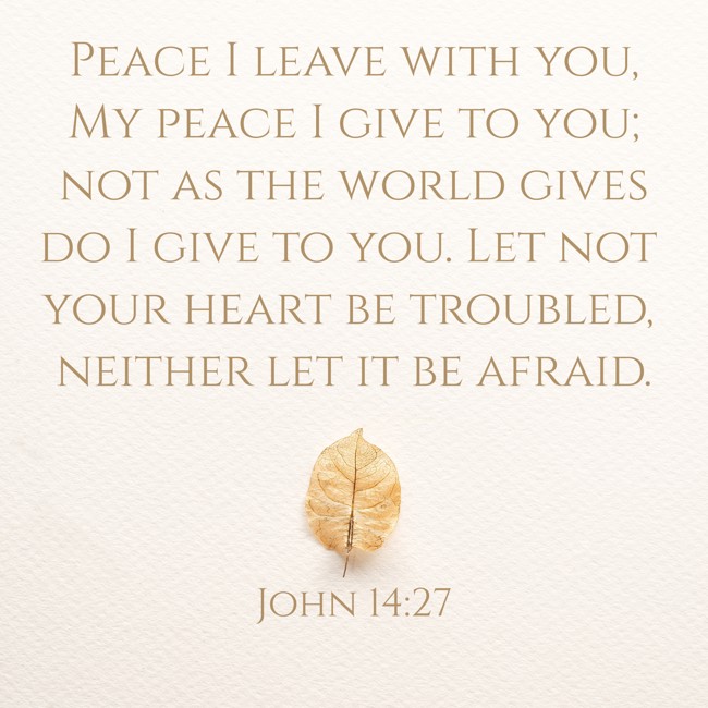 Peace I leave with you, My peace I give to you; not as the world gives do I give to you. Let not your heart be troubled, neither let it be afraid. - John 14:27