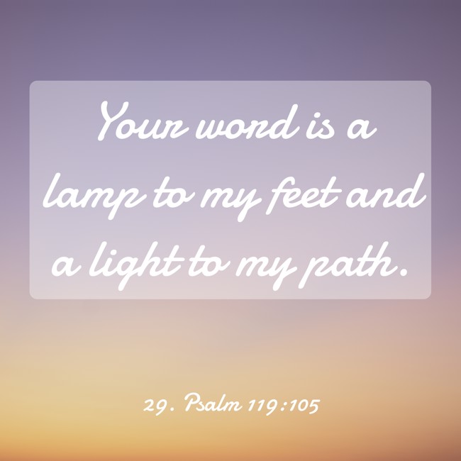  Your word is a lamp to my feet and a light to my path.   - 29. Psalm 119:105 