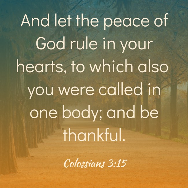 And let the peace of God rule in your hearts, to which also you were called in one body; and be thankful. - Colossians 3:15