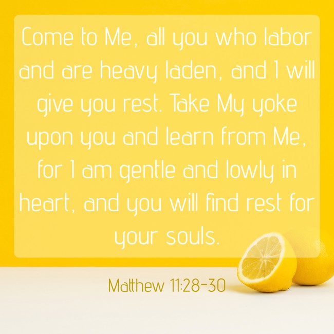 Come to Me, all you who labor and are heavy laden, and I will give you rest. Take My yoke upon you and learn from Me, for I am gentle and lowly in heart, and you will find rest for your souls. - Matthew 11:28-30