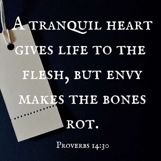 A tranquil heart gives life to the flesh, but envy makes the bones rot. - Proverbs 14:30