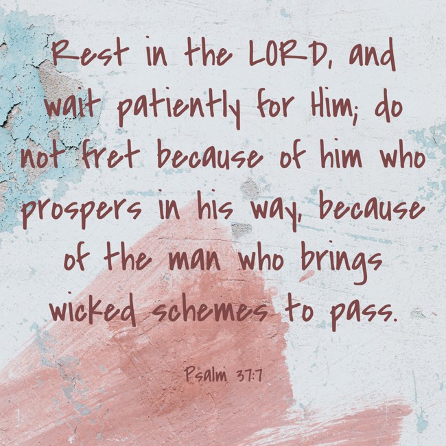 Rest in the LORD, and wait patiently for Him; do not fret because of him who prospers in his way, because of the man who brings wicked schemes to pass. - Psalm 37:7