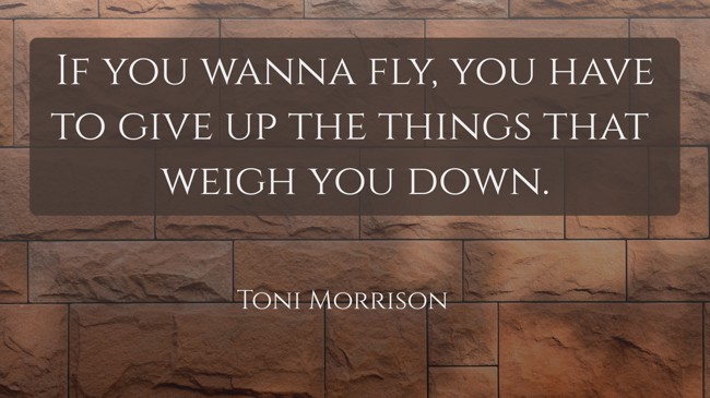 If you wanna fly, you have to give up the things that weigh you down.
- Toni Morrison