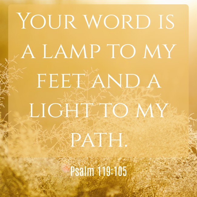 Your word is a lamp to my feet and a light to my path. - Psalm 119:105
