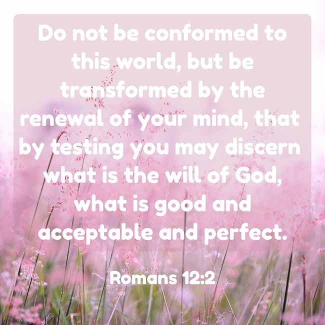 Do not be conformed to this world, but be transformed by the renewal of your mind, that by testing you may discern what is the will of God, what is good and acceptable and perfect. - Romans 12:2