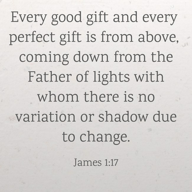 Every good gift and every perfect gift is from above, coming down from the Father of lights with whom there is no variation or shadow due to change. - James 1:17