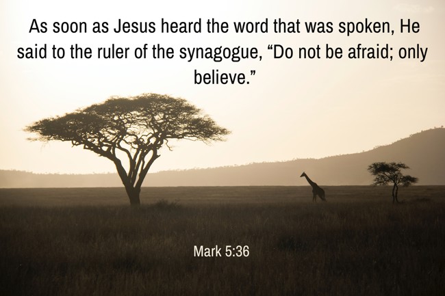 As soon as Jesus heard the word that was spoken, He said to the ruler of the synagogue, “Do not be afraid; only believe.” - Mark 5:36