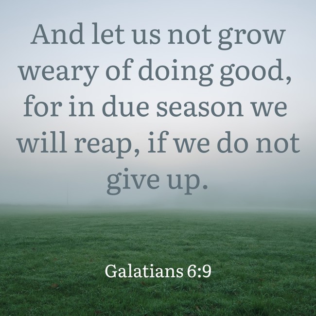 And let us not grow weary of doing good, for in due season we will reap, if we do not give up. - Galatians 6:9
