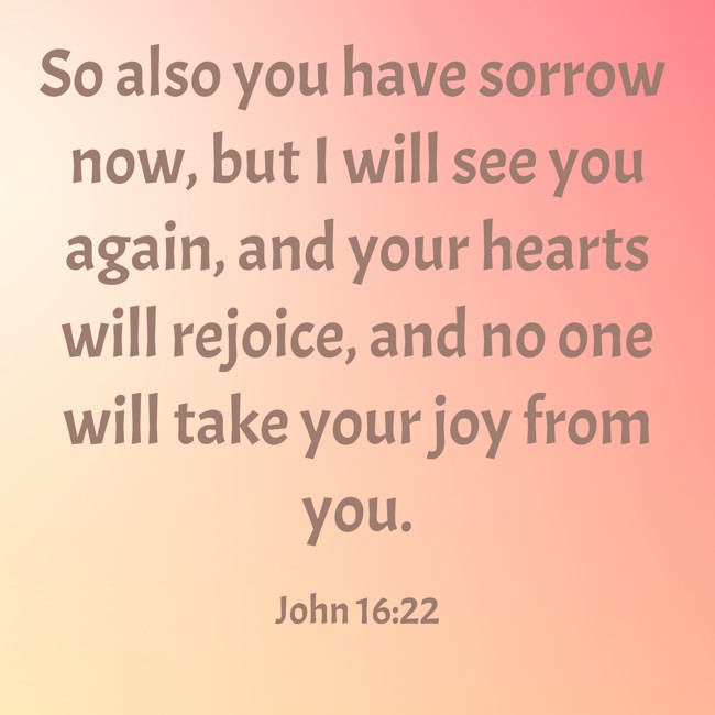So also you have sorrow now, but I will see you again, and your hearts will rejoice, and no one will take your joy from you. - John 16:22