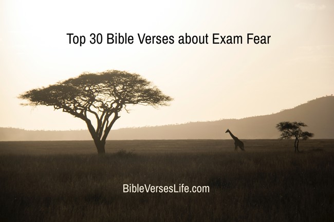 Top 30 Bible Verses about Exam Fear