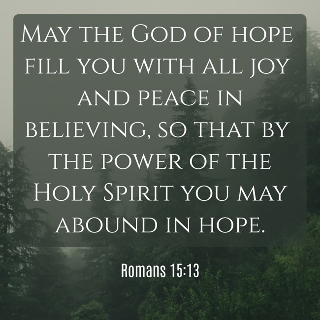 May the God of hope fill you with all joy and peace in believing, so that by the power of the Holy Spirit you may abound in hope. - Romans 15:13