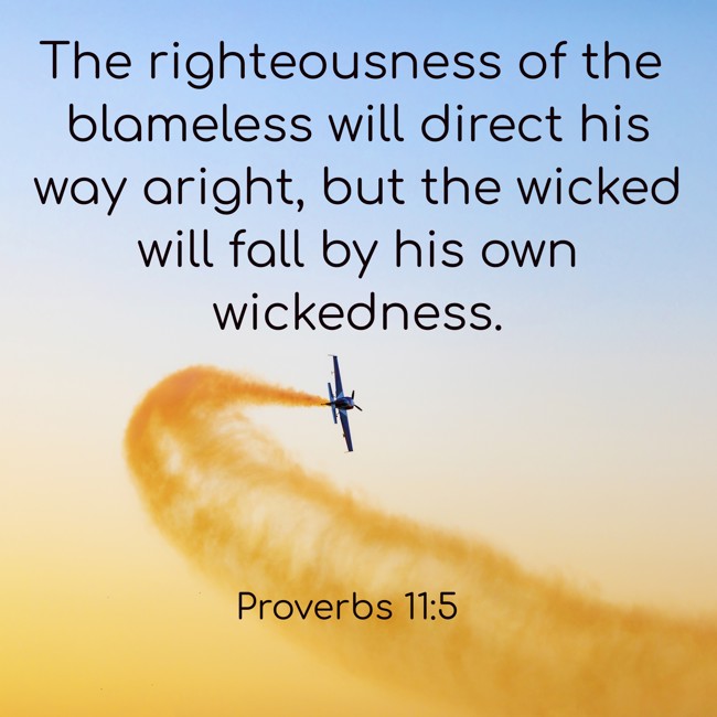  The righteousness of the blameless will direct his way aright, but the wicked will fall by his own wickedness.   - Proverbs 11:5 