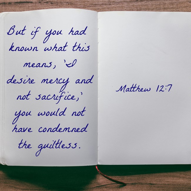  But if you had known what this means, 'I desire mercy and not sacrifice,' you would not have condemned the guiltless.   - Matthew 12:7 
