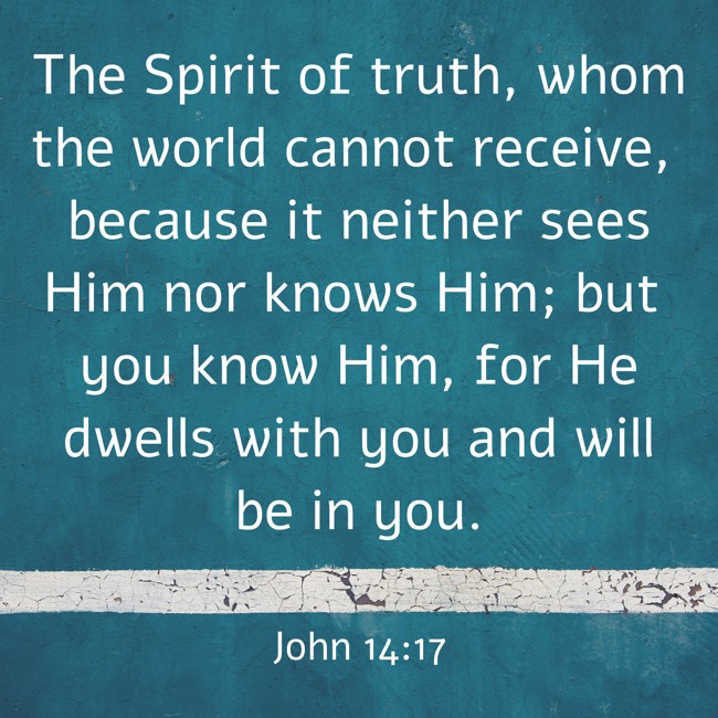  The Spirit of truth, whom the world cannot receive, because it neither sees Him nor knows Him; but you know Him, for He dwells with you and will be in you.   - John 14:17 