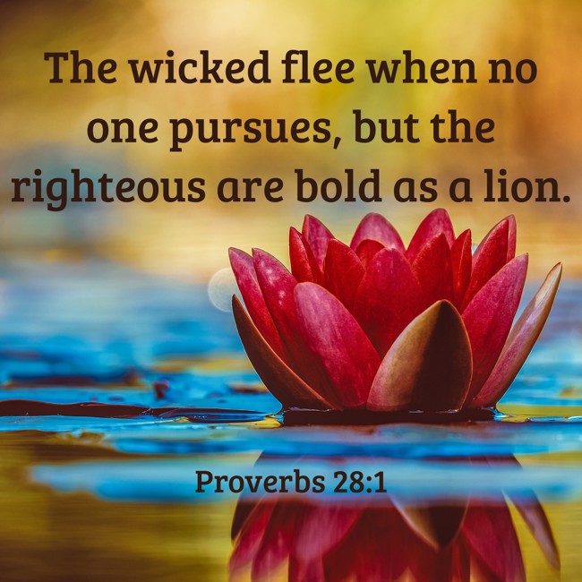  The wicked flee when no one pursues, but the righteous are bold as a lion.   - Proverbs 28:1 