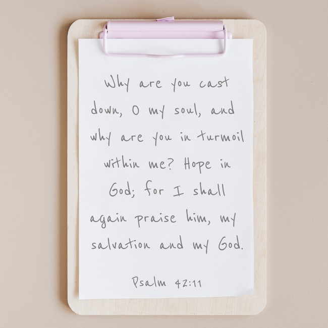 Why are you cast down, O my soul, and why are you in turmoil within me? Hope in God; for I shall again praise him, my salvation and my God. - Psalm 42:11