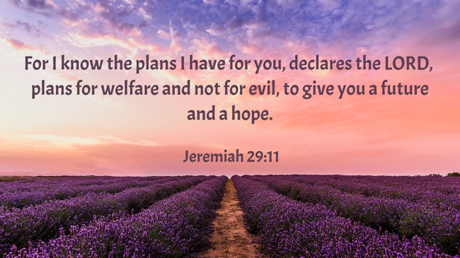 For I know the plans I have for you, declares the LORD, plans for welfare and not for evil, to give you a future and a hope. - Jeremiah 29:11