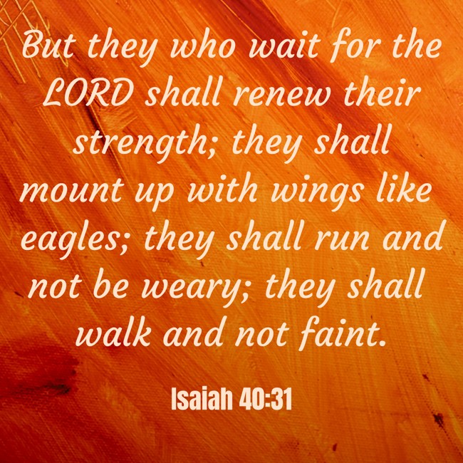 But they who wait for the LORD shall renew their strength; they shall mount up with wings like eagles; they shall run and not be weary; they shall walk and not faint. - Isaiah 40:31