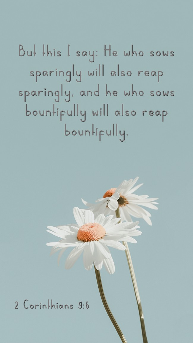 But this I say: He who sows sparingly will also reap sparingly, and he who sows bountifully will also reap bountifully. - 2 Corinthians 9:6