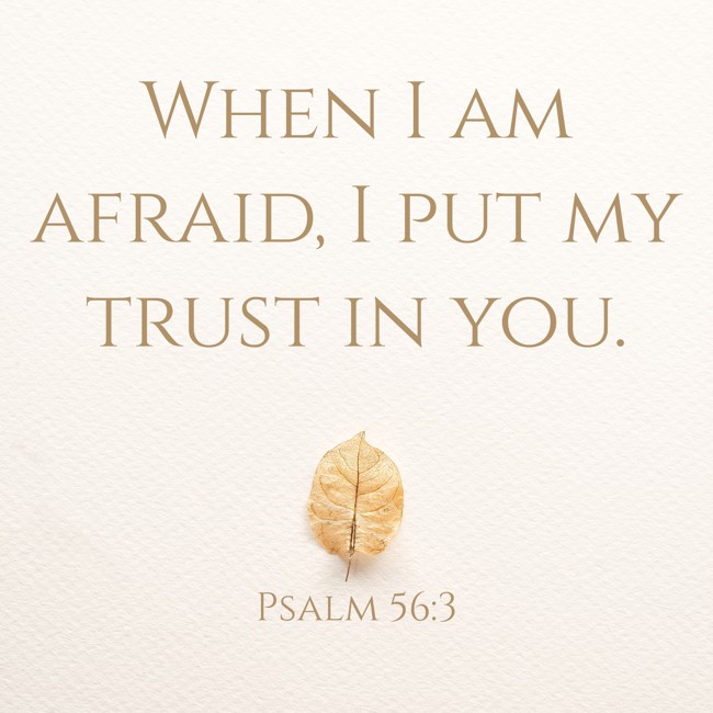 When I am afraid, I put my trust in you. - Psalm 56:3