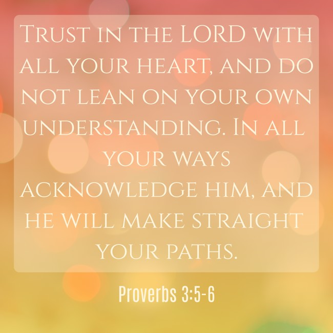 Trust in the LORD with all your heart, and do not lean on your own understanding. In all your ways acknowledge him, and he will make straight your paths. - Proverbs 3:5-6