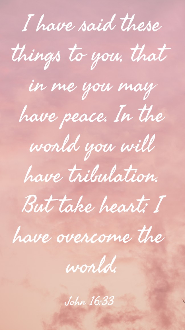 I have said these things to you, that in me you may have peace. In the world you will have tribulation. But take heart; I have overcome the world. - John 16:33
