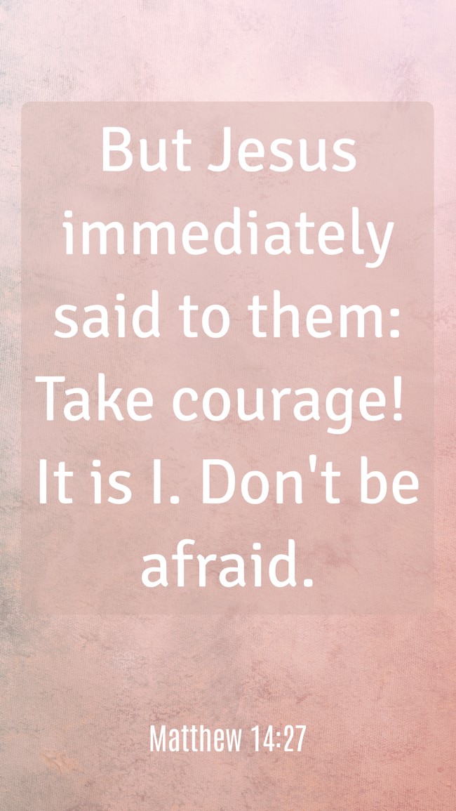 But Jesus immediately said to them: Take courage! It is I. Don't be afraid. - Matthew 14:27