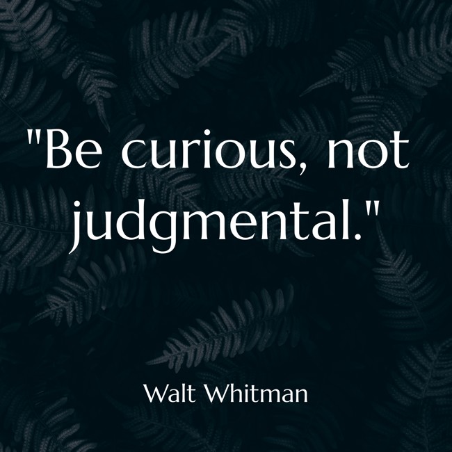 Be curious, not judgmental. - Walt Whitman