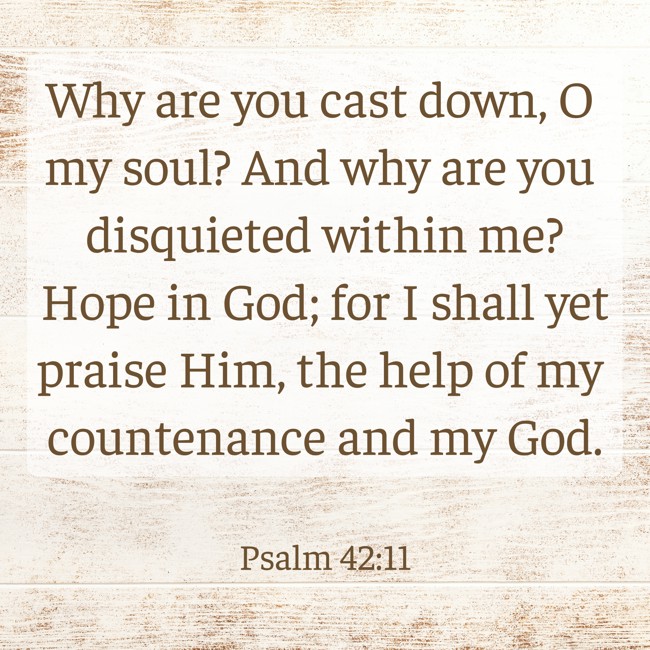 Why are you cast down, O my soul? And why are you disquieted within me? Hope in God; for I shall yet praise Him, the help of my countenance and my God. - Psalm 42:11