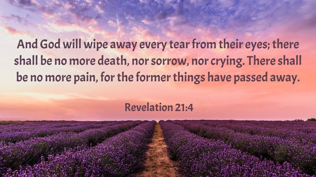 And God will wipe away every tear from their eyes; there shall be no more death, nor sorrow, nor crying. There shall be no more pain, for the former things have passed away. - Revelation 21:4