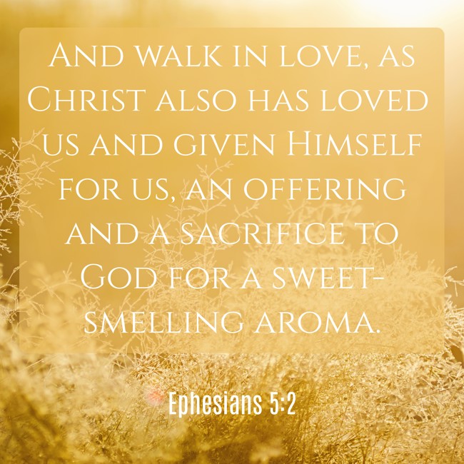 And walk in love, as Christ also has loved us and given Himself for us, an offering and a sacrifice to God for a sweet-smelling aroma. - Ephesians 5:2