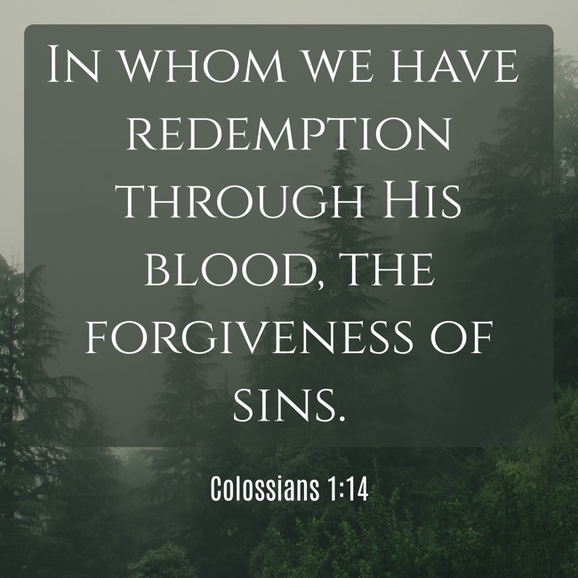 In whom we have redemption through His blood, the forgiveness of sins. - Colossians 1:14