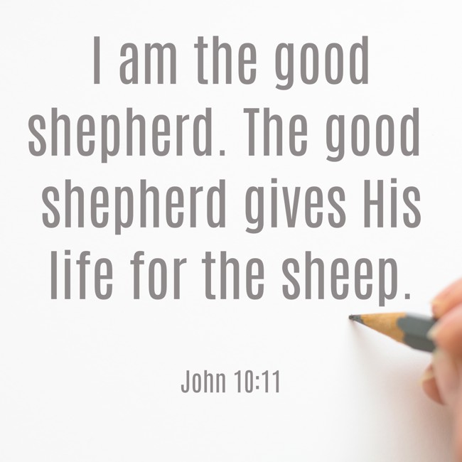 I am the good shepherd. The good shepherd gives His life for the sheep. - John 10:11