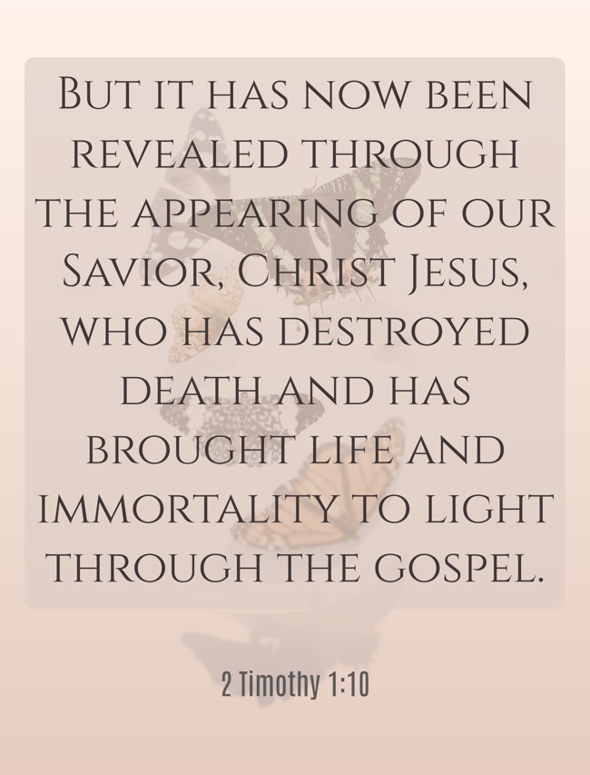 But it has now been revealed through the appearing of our Savior, Christ Jesus, who has destroyed death and has brought life and immortality to light through the gospel. - 2 Timothy 1:10