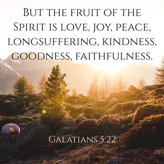 But the fruit of the Spirit is love, joy, peace, longsuffering, kindness, goodness, faithfulness. - Galatians 5:22